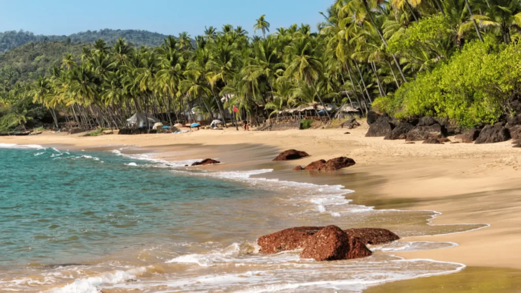 Cola Beach South Goa