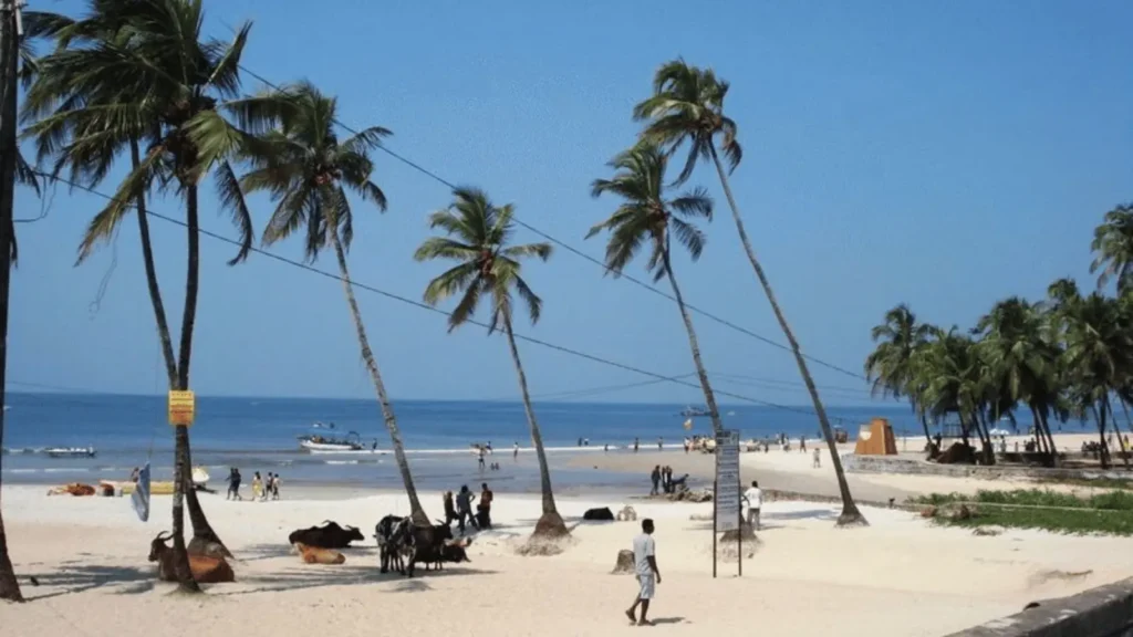Colva Beach South Goa